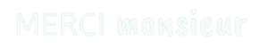 Logo merci monsieur light