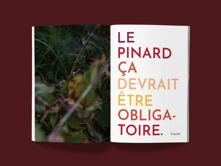 Guide vin vivant Pinard éditions papier